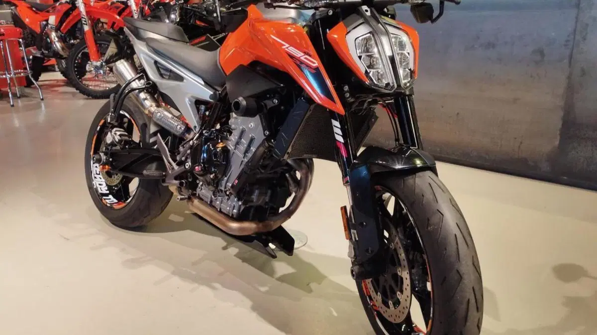 KTM 790 Duke L (2019 - 20)  (2)