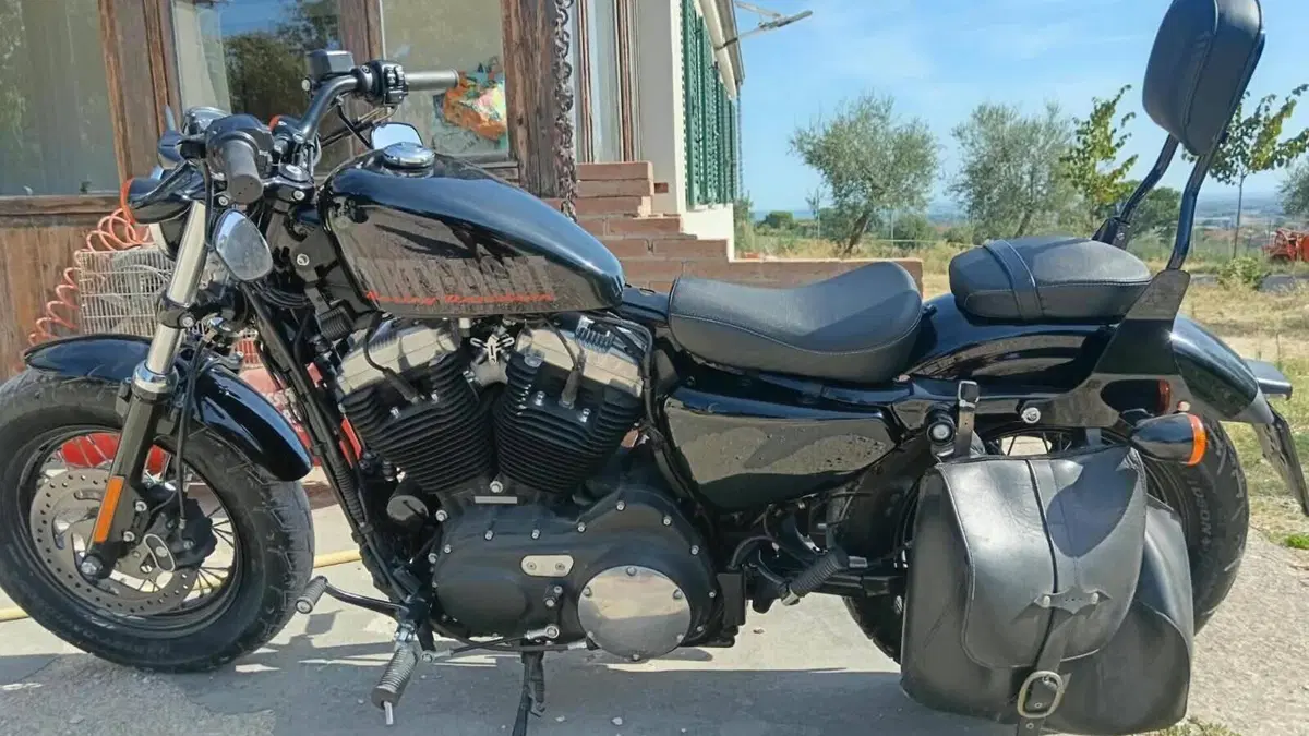 Harley-Davidson 1200 Forty-Eight (2010 - 15)  (3)