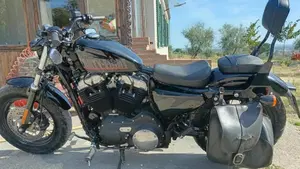 Harley-Davidson 1200 Forty-Eight (2010 - 15)  (3)
