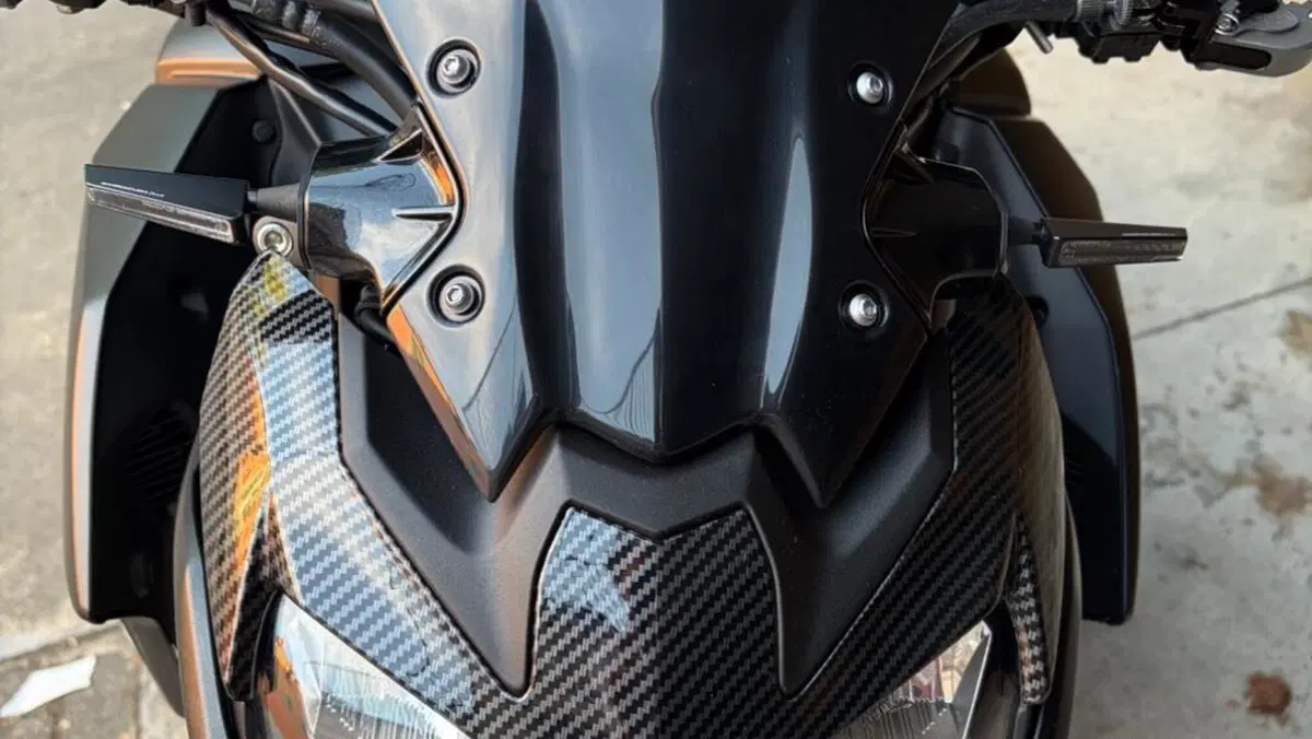 Kawasaki Z 900 (2021 - 24)  (10)