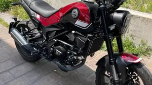 Benelli Leoncino 250 (2019 - 20)  (2)