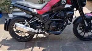 Benelli Leoncino 250 (2019 - 20)  (3)