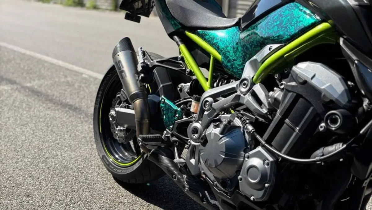 Kawasaki Z 900 A2 (2019)  (4)