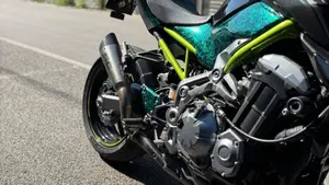 Kawasaki Z 900 A2 (2019)  (4)