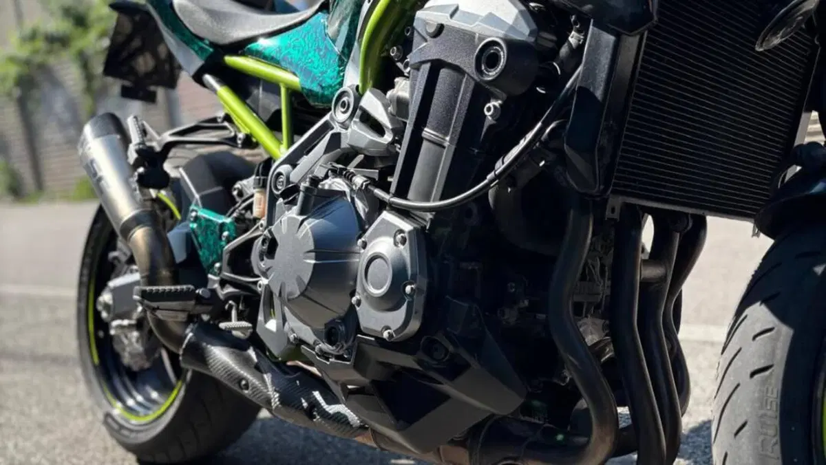 Kawasaki Z 900 A2 (2019)  (12)