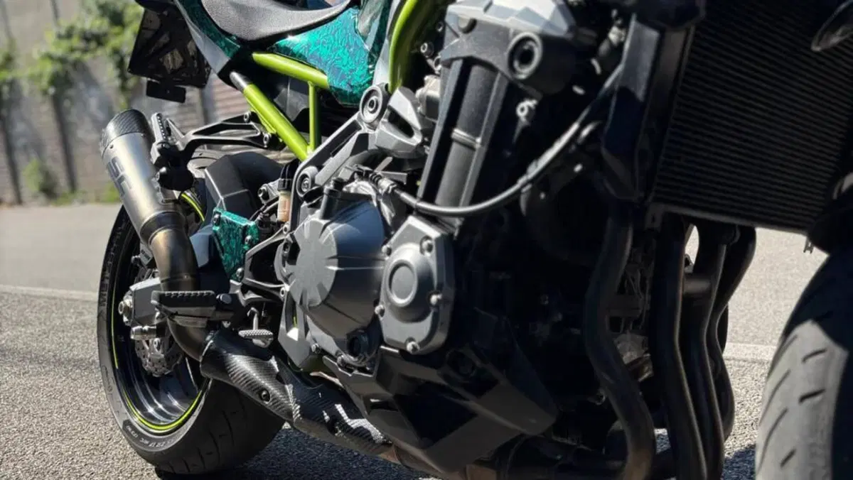 Kawasaki Z 900 A2 (2019)  (8)