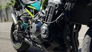 Kawasaki Z 900 A2 (2019)  (8)