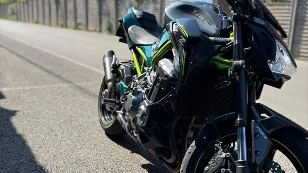 Kawasaki Z 900 A2 (2019)  (9)