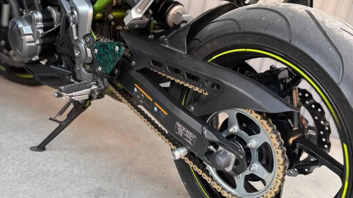 Kawasaki Z 900 A2 (2019)  (13)