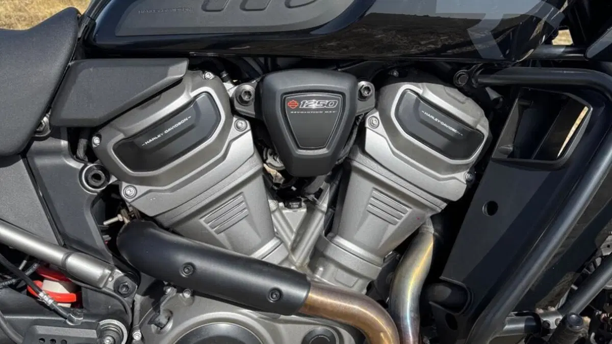 Harley-Davidson Pan America 1250 Special (2020 - 25)  (5)