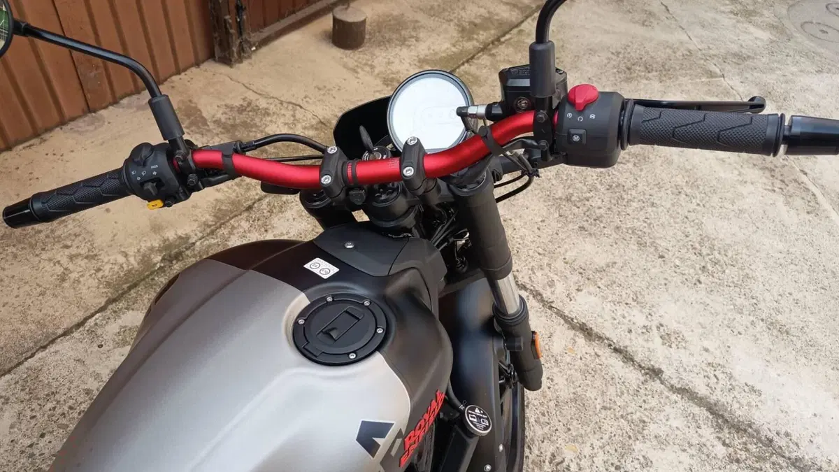 Royal Enfield Guerrilla 450 Apex (2026)  (6)
