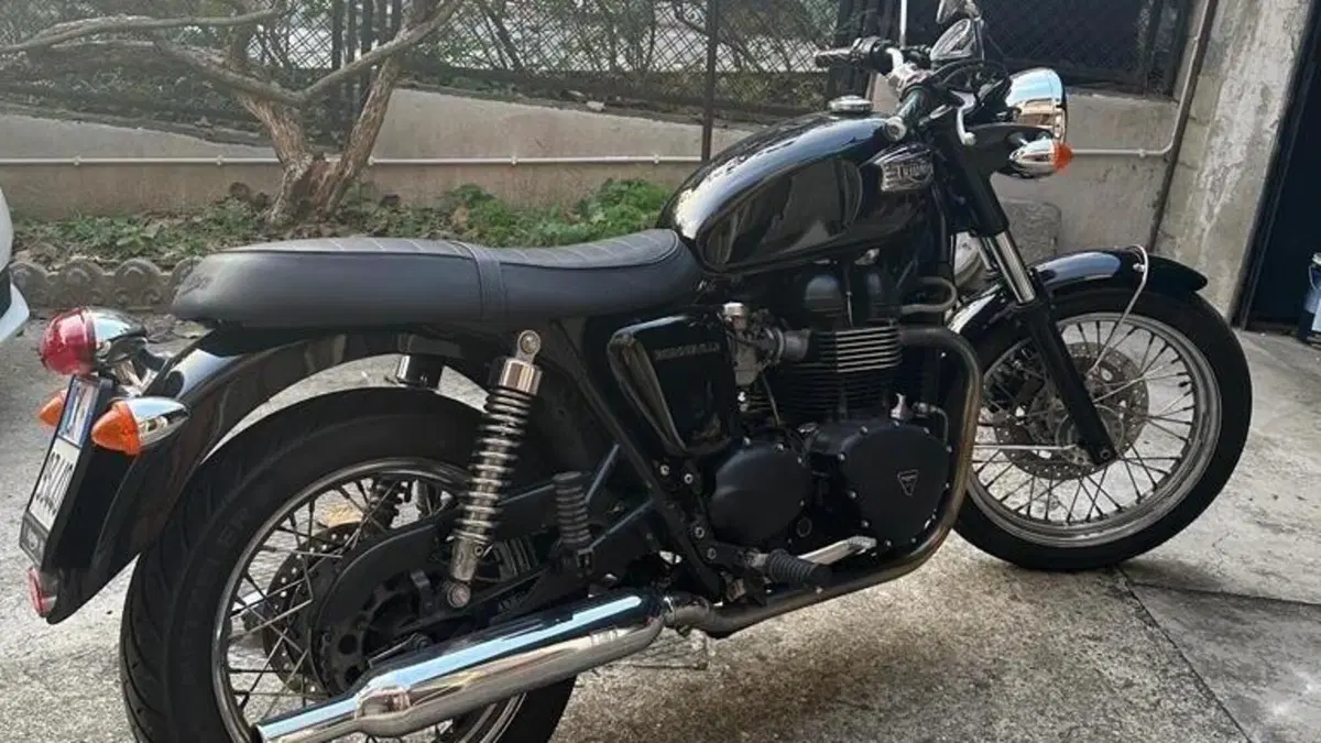 Triumph Bonneville (2007 - 16)  (2)