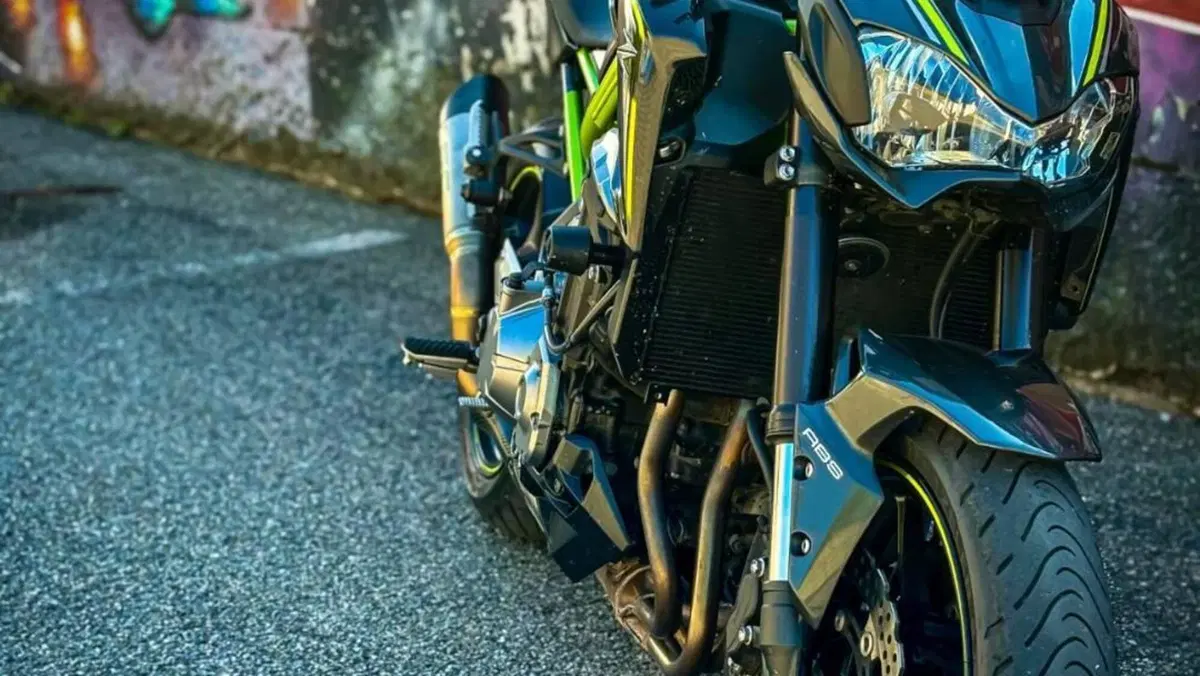 Kawasaki Z 900 A2 (2019)  (18)