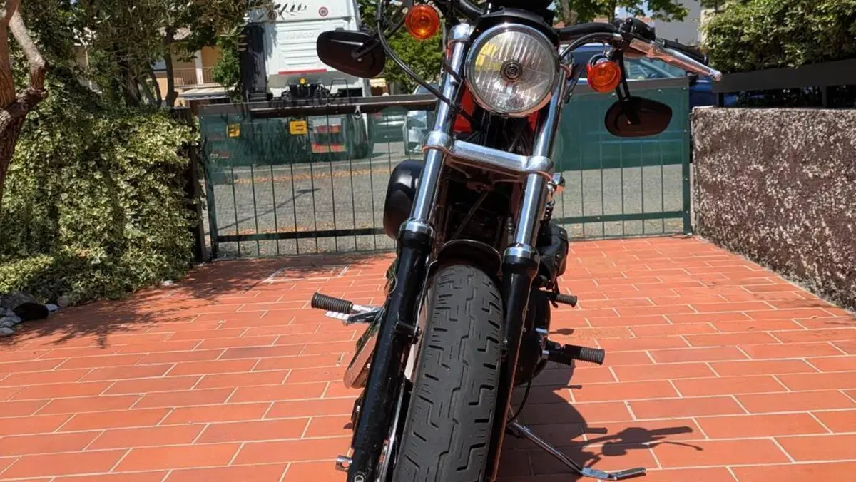 Harley-Davidson 883 R (2006 - 07) - XL 883R  (3)