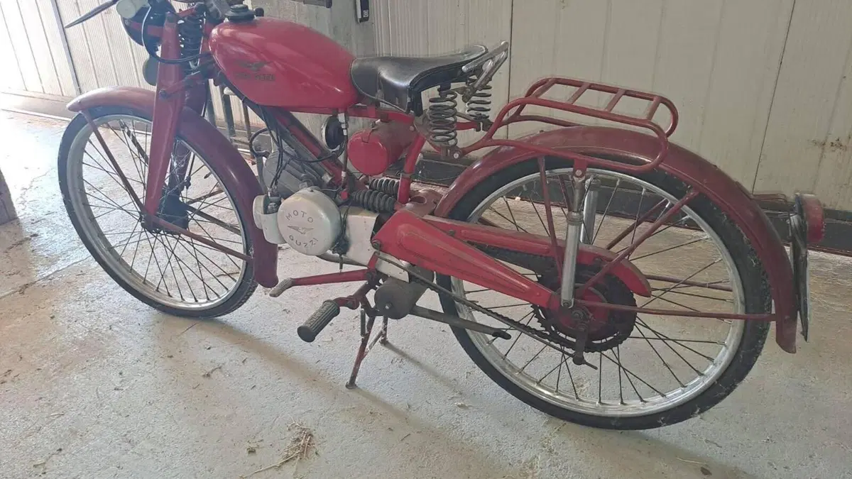 Moto Guzzi   (8)