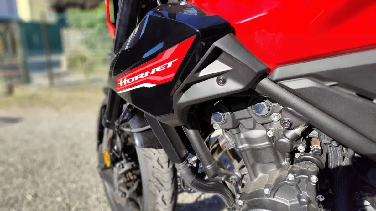 Honda CB 500 Hornet (2024 - 25)  (4)