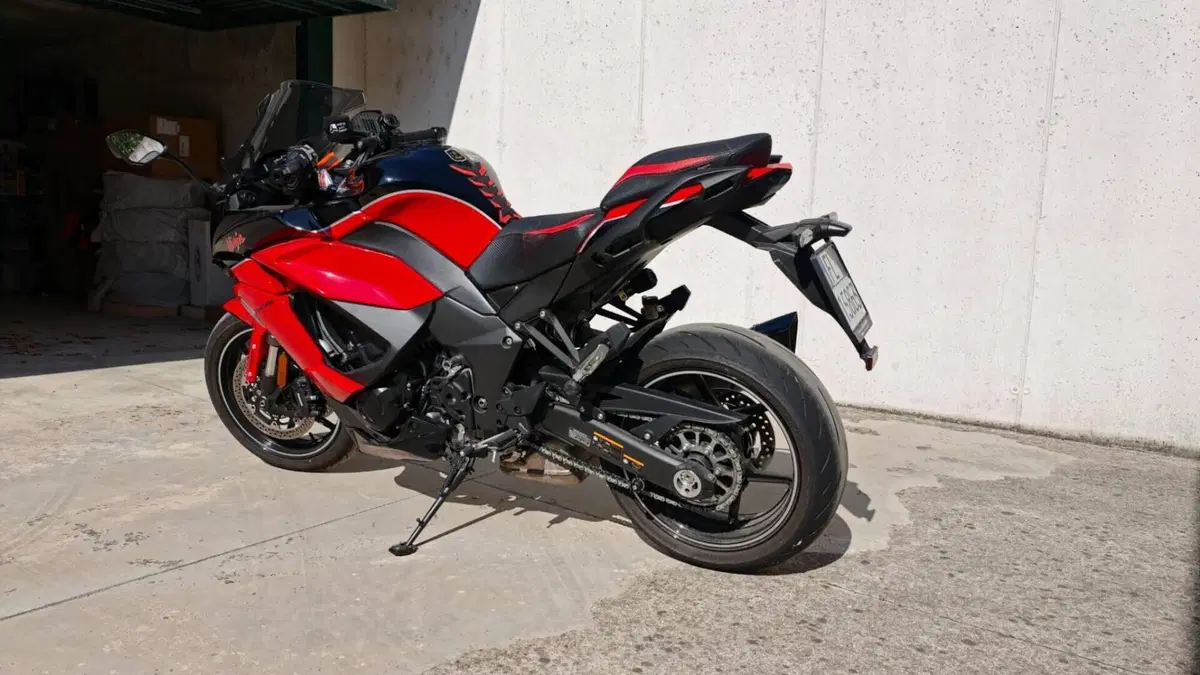 Kawasaki Ninja 1000 SX 40th Anniversary Edition (2024) 