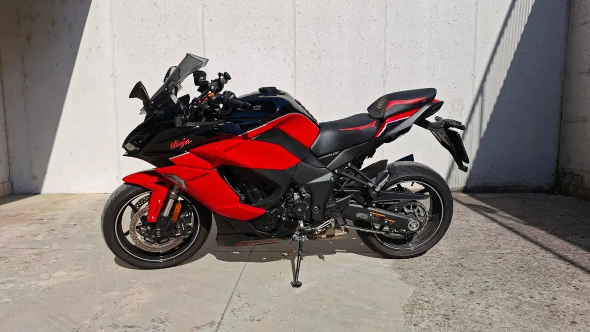 Kawasaki Ninja 1000 SX 40th Anniversary Edition (2024)  (4)