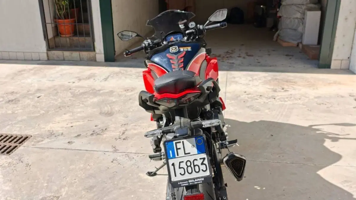 Kawasaki Ninja 1000 SX 40th Anniversary Edition (2024)  (5)