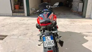 Kawasaki Ninja 1000 SX 40th Anniversary Edition (2024)  (5)