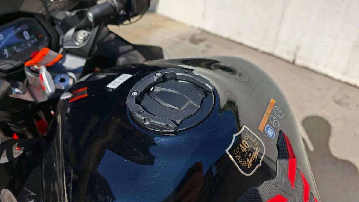 Kawasaki Ninja 1000 SX 40th Anniversary Edition (2024)  (6)