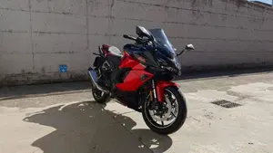 Kawasaki Ninja 1000 SX 40th Anniversary Edition (2024)  (7)