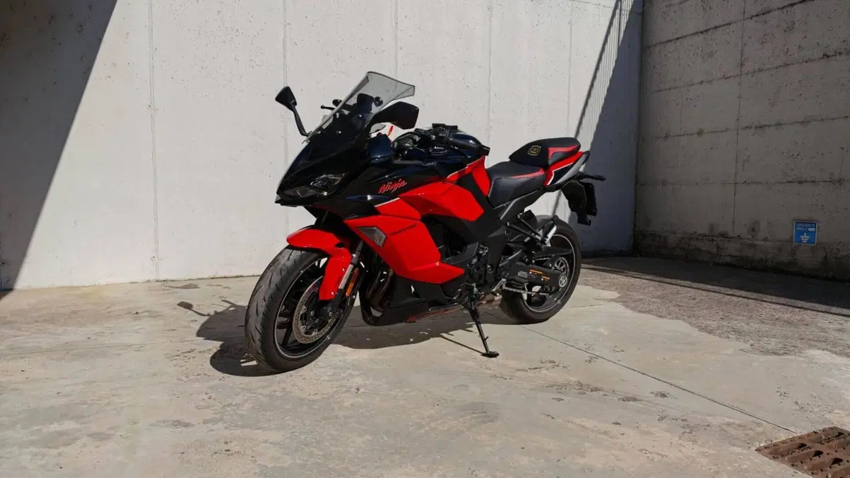Kawasaki Ninja 1000 SX 40th Anniversary Edition (2024)  (8)