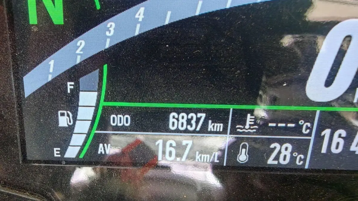 Kawasaki Ninja 1000 SX 40th Anniversary Edition (2024)  (9)