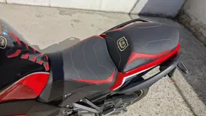 Kawasaki Ninja 1000 SX 40th Anniversary Edition (2024)  (12)