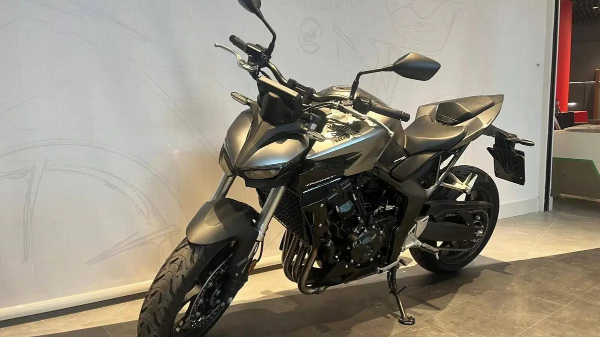 Honda CB 1000 Hornet (2025 - 26)  (4)