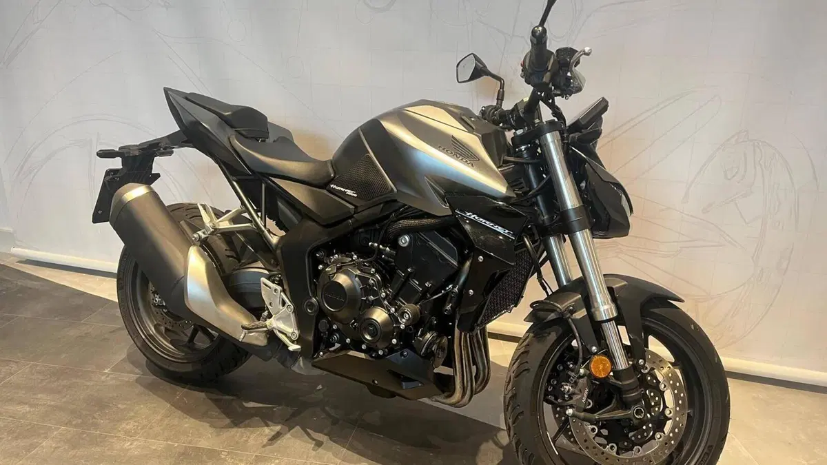 Honda CB 1000 Hornet (2025 - 26)  (3)