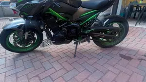 Kawasaki Z 900 A2 (2021 - 24)  (4)