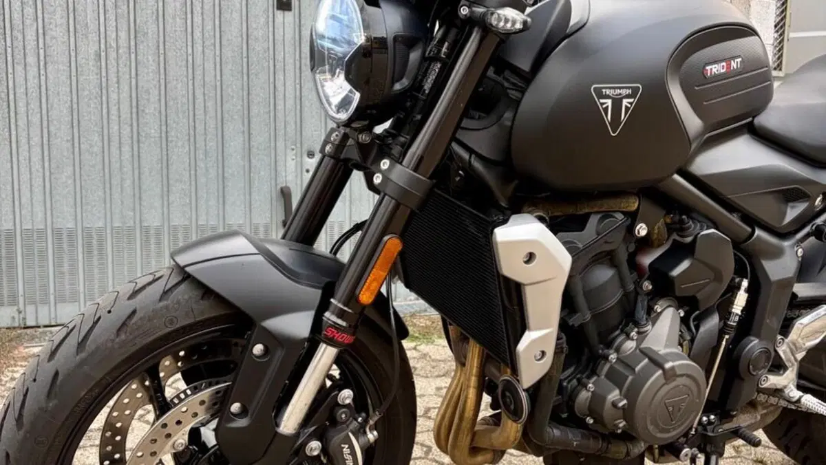 Triumph Trident 660 (2021 - 24)  (2)
