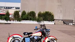 Harley-Davidson   (2)