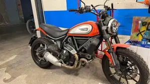 Ducati Scrambler 800 Icon (2017 - 20) 