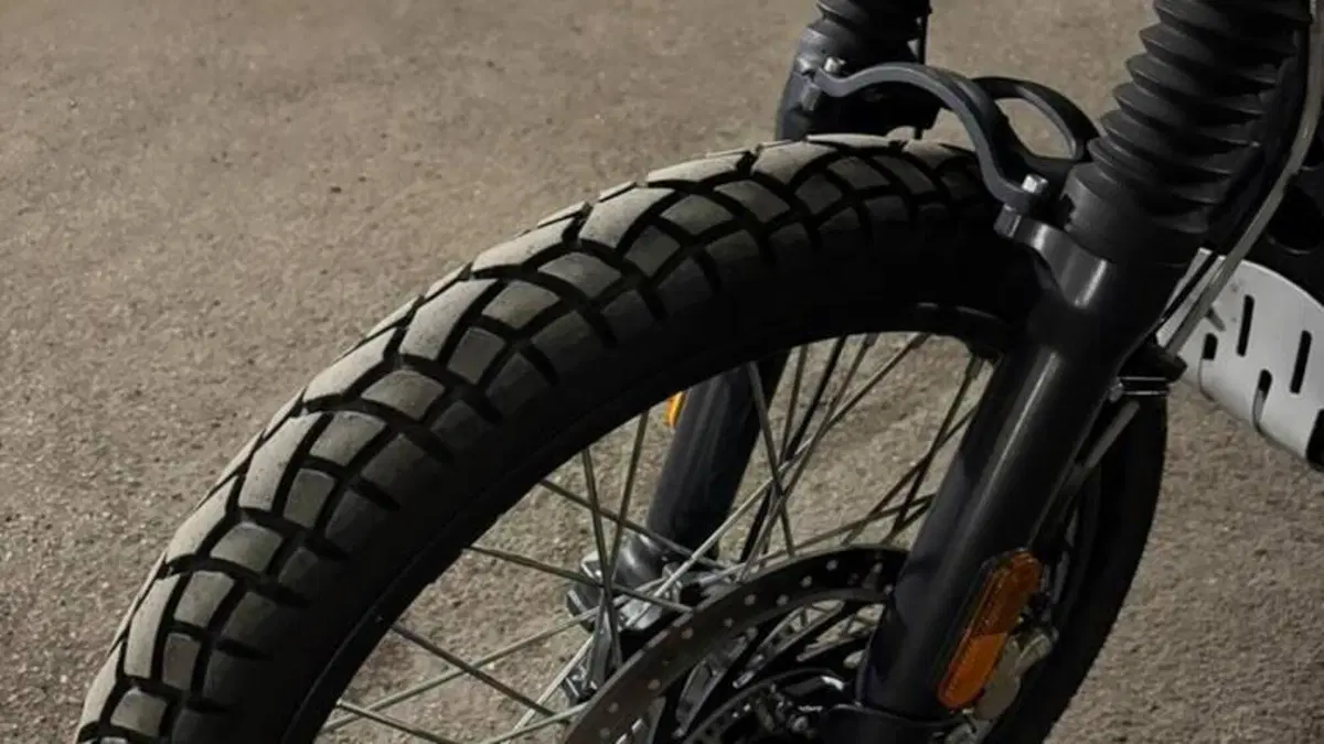 Royal Enfield Himalayan 411 (2017 - 20)  (6)