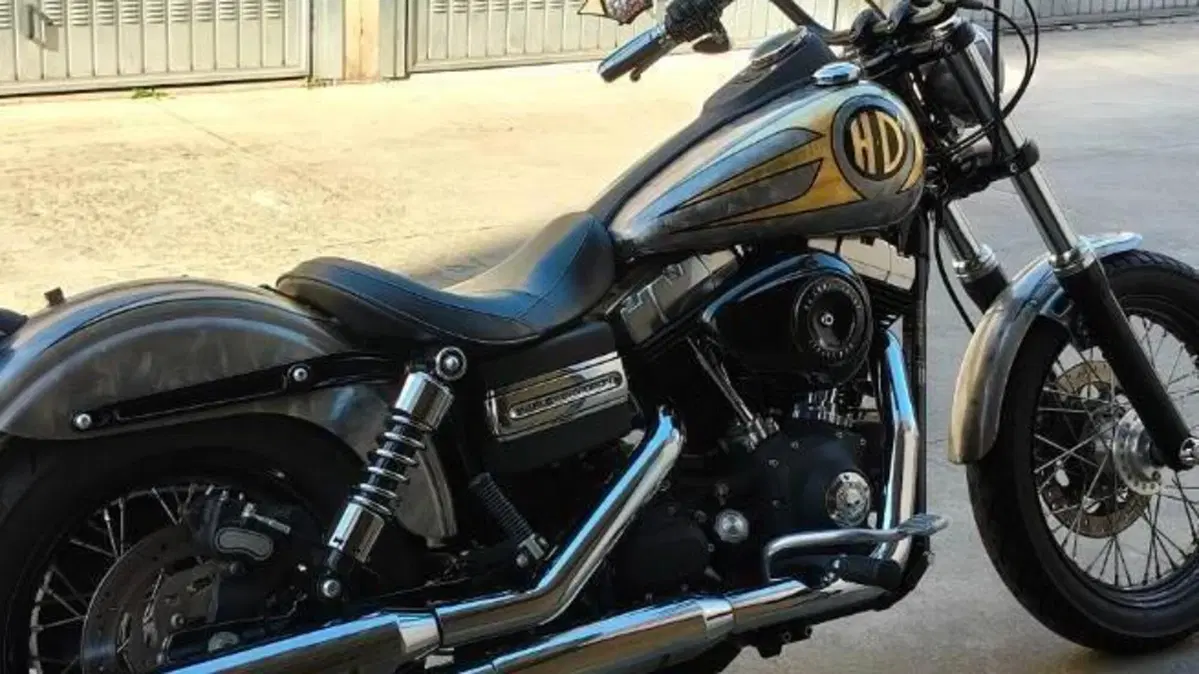 Harley-Davidson 1584 Street Bob (2008 - 15) - FXDB  (7)