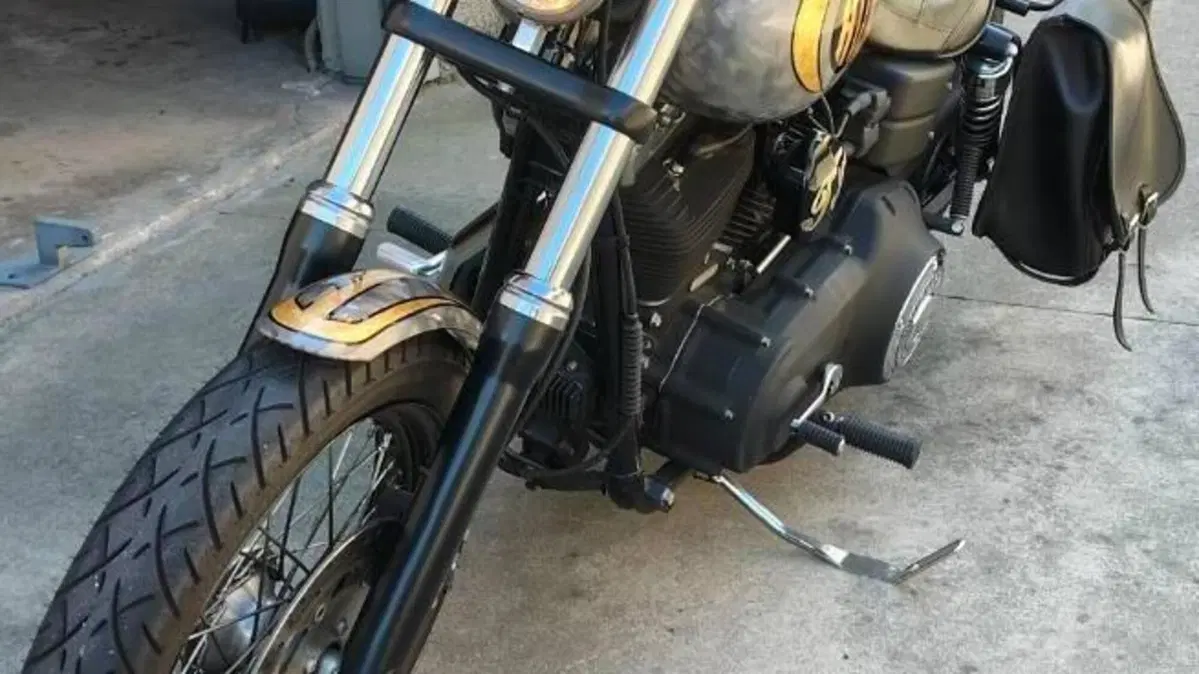 Harley-Davidson 1584 Street Bob (2008 - 15) - FXDB  (8)