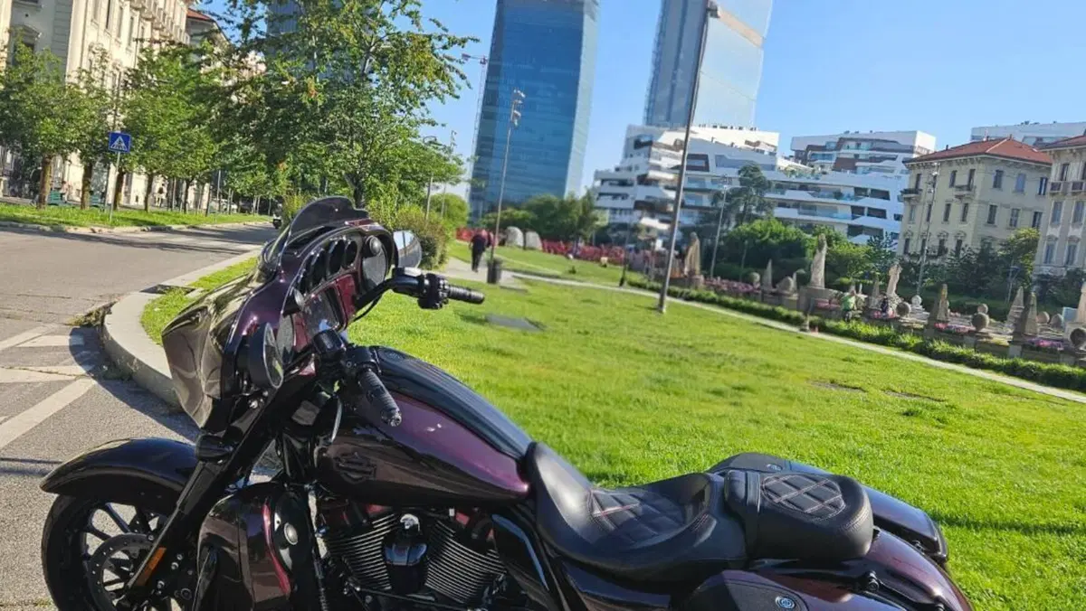 Harley-Davidson 117 Street Glide (2018 - 20) - FLHXSE  (2)