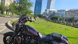 Harley-Davidson 117 Street Glide (2018 - 20) - FLHXSE  (2)