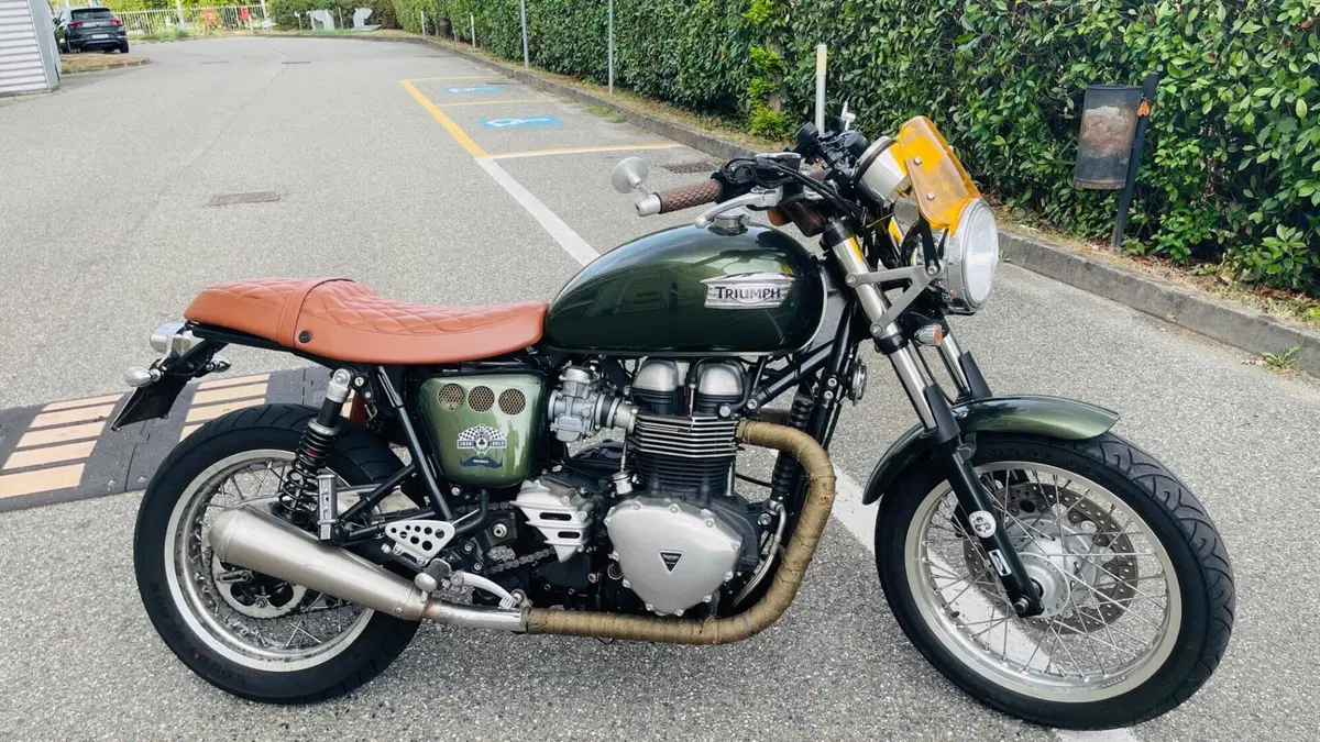 Triumph Thruxton 900 (2004 - 15)  (7)