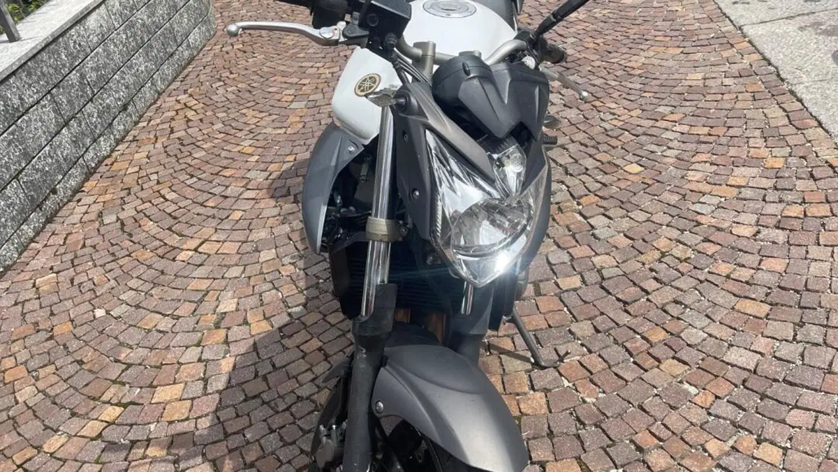Yamaha XJ6 (2008 - 15)  (5)