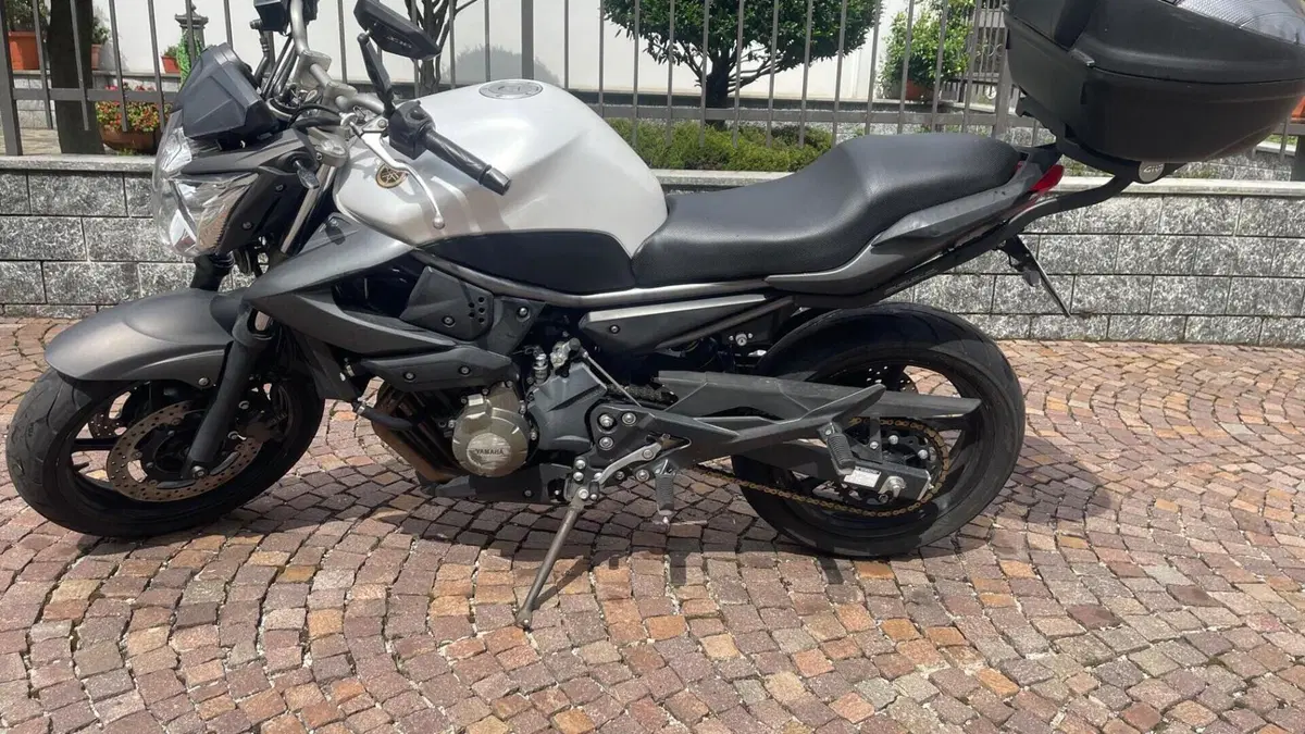 Yamaha XJ6 (2008 - 15)  (6)