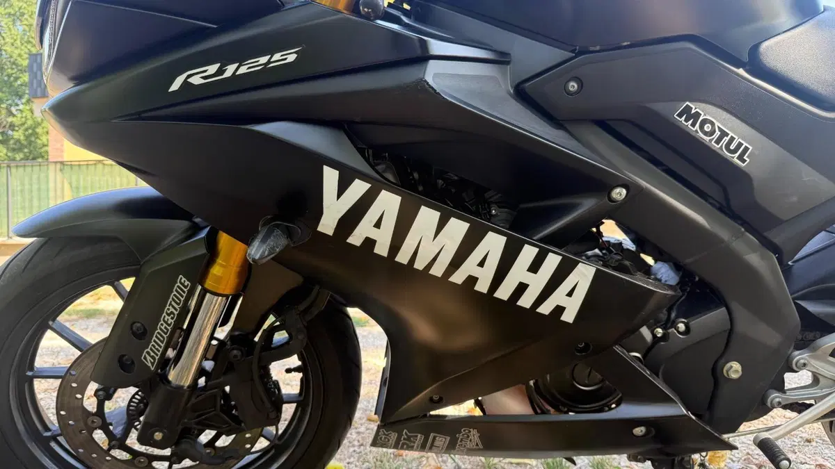 Yamaha YZF R125 (2021 - 22)  (8)