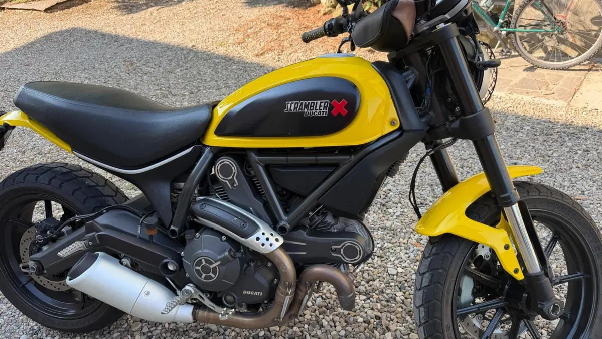 Ducati Scrambler 800 Classic (2015 - 16)  (11)