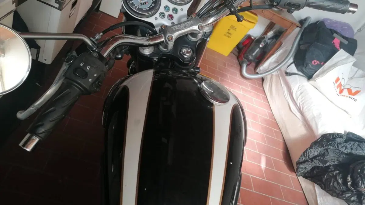 Triumph Bonneville T100 (2001 - 07)  (4)