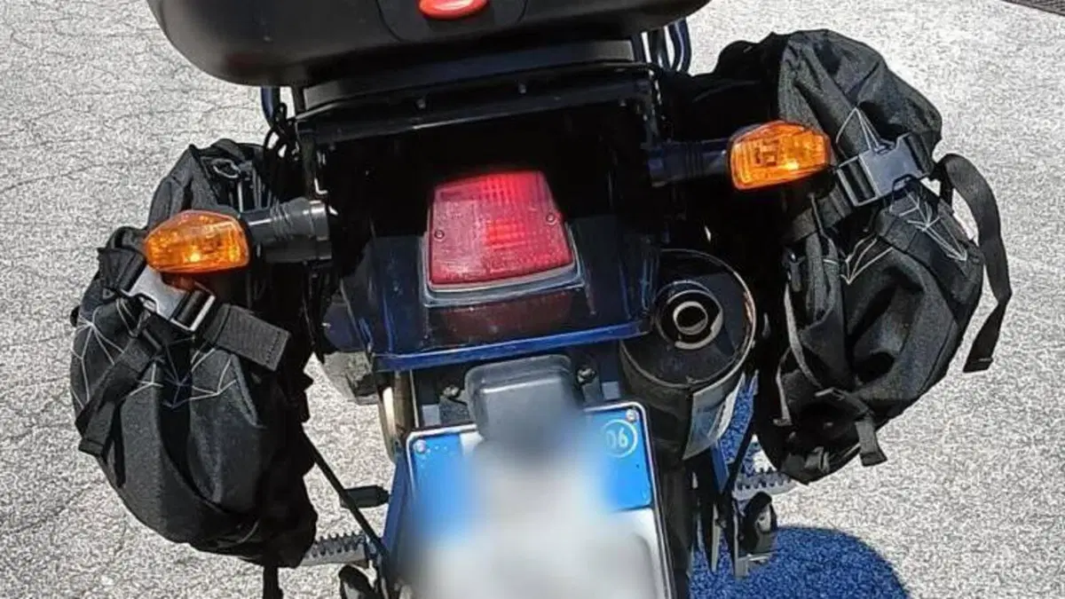 Kawasaki KLE 500 (2005 - 06)  (4)