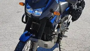 Kawasaki KLE 500 (2005 - 06)  (6)
