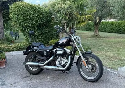 Harley-Davidson 883 (2008 - 09) - XL - Annuncio 10099703