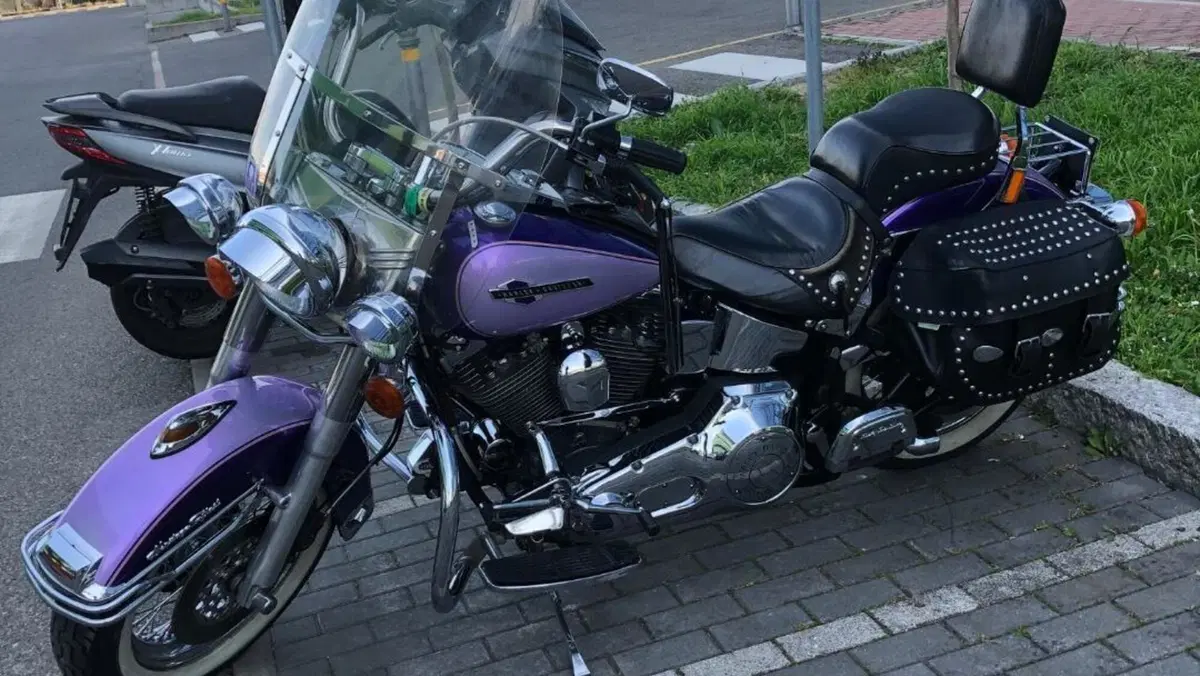 Harley-Davidson   (4)